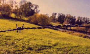 Read more about the article Zastosowanie folii antywłamaniowej na okno
