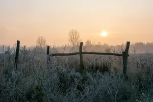 Read more about the article Specjaliści pomogą w przygotowaniu imprezy