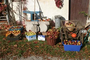 Nowa maszyna vendingowa
