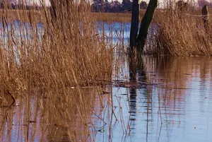 Read more about the article Zalety laminatów spożywczych