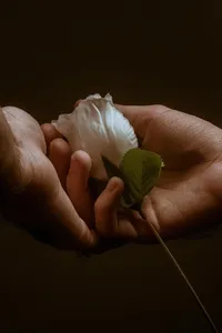 dodatki florystyczne
