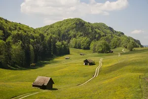 Wybór kancelarii prawnej