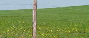 Wydajna infrastruktura IT w dobie wyzwań wzrostu