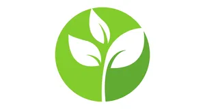Jak zaprojektować idealne logo?