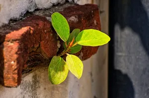 Read more about the article Ubrania, które nie wychodzą z mody