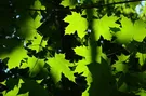 serwis acer w warszawie
