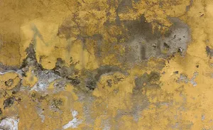 Read more about the article Czy gruszki do betonu mogą mieć podajniki?