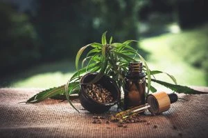 Olej CBD wspiera leczenie nowotworów